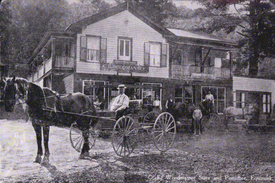 A photograph of a man in a carriage with a horse in front of him, and a building in the background with a sign "C. E. Woodmansee"