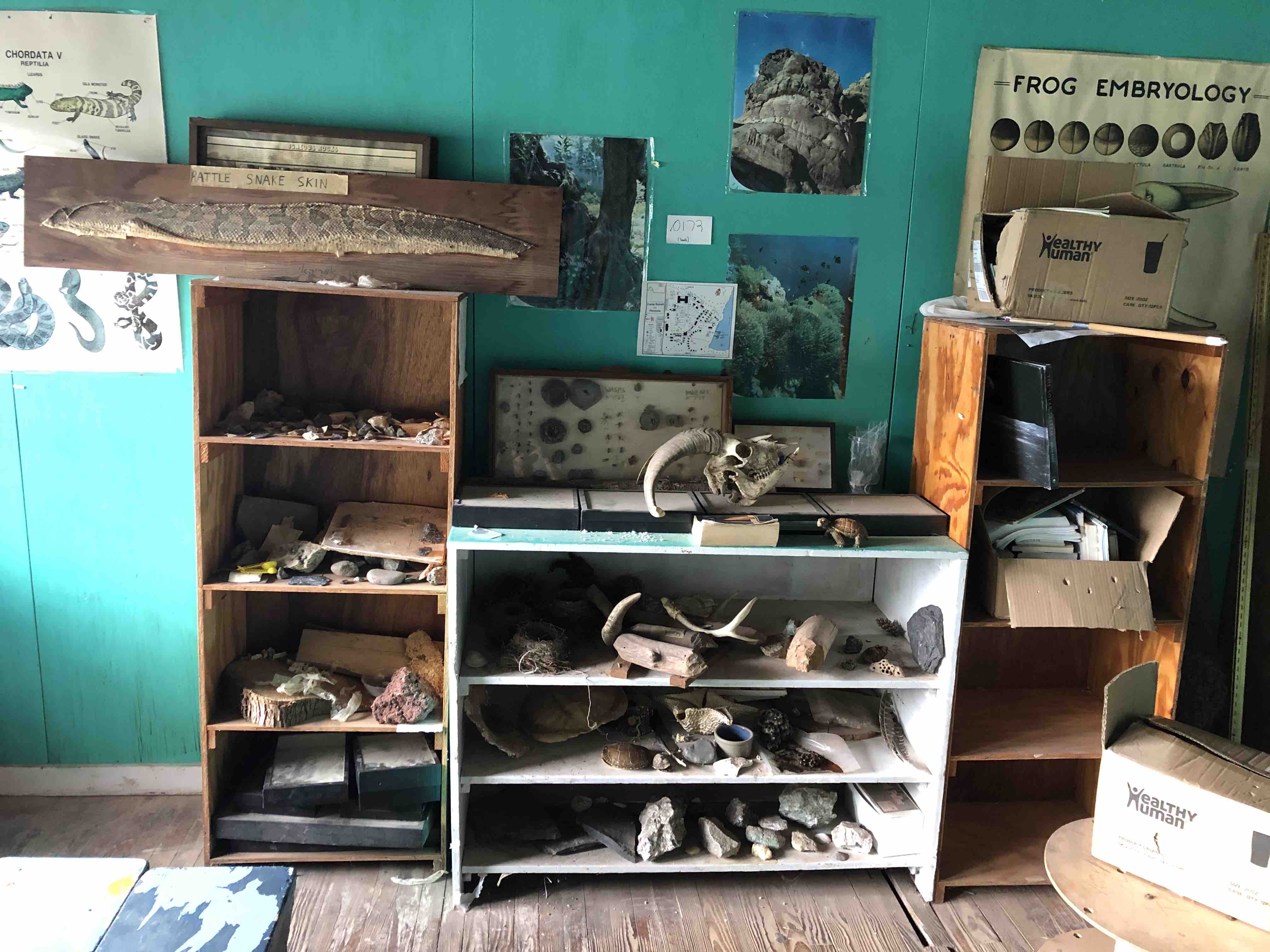 A photograph of the Teva Room with animal bones and skins