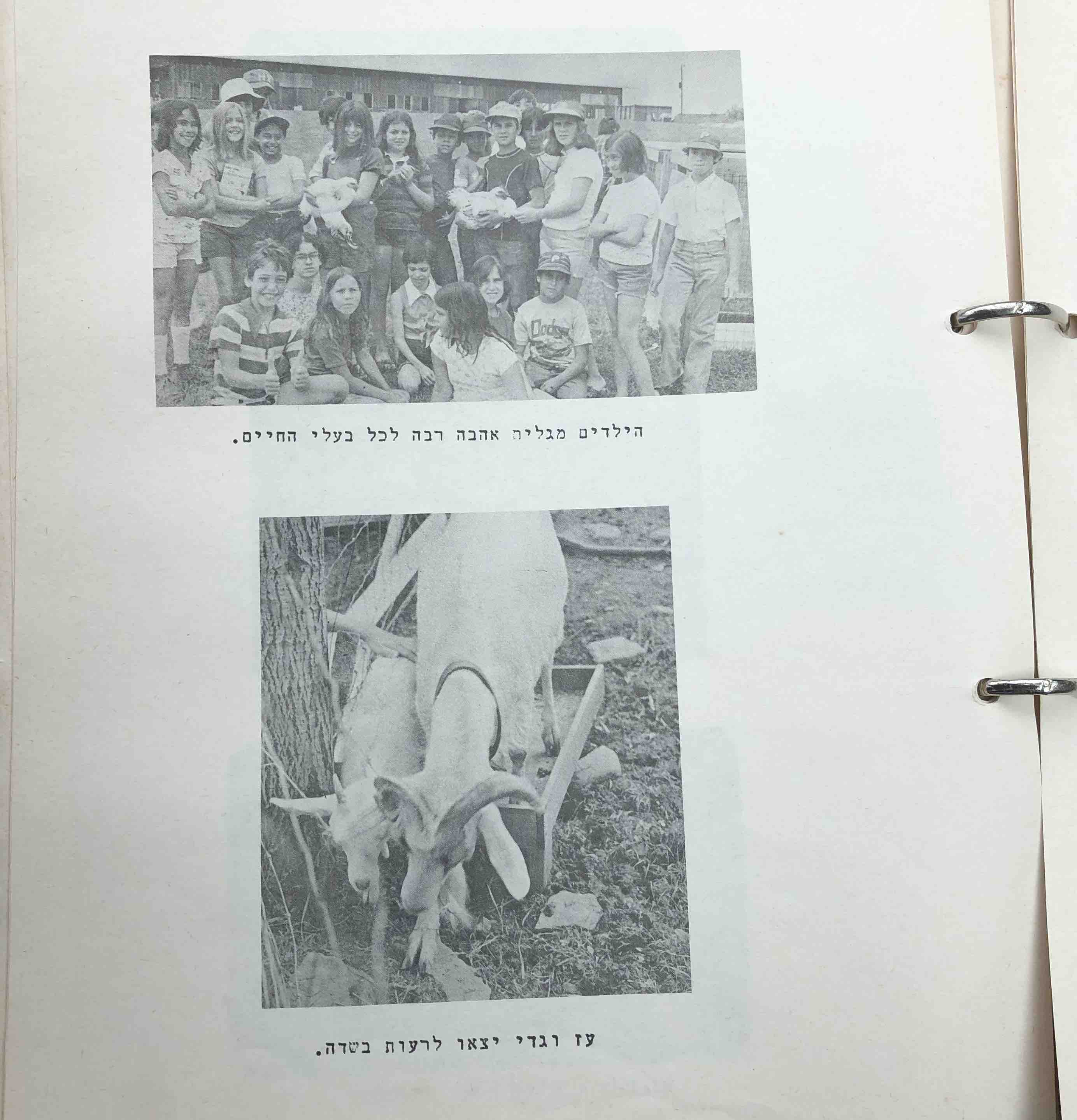 A photograph of a page of a book with a picture of a group of people holding chickens and a picture of goats